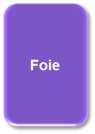 Foie