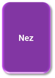 Nez