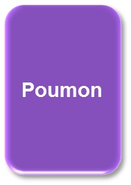 Poumon